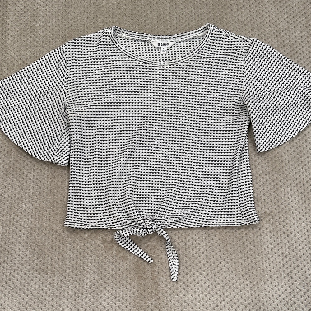 BB Dakota Black and White Striped Crop Top